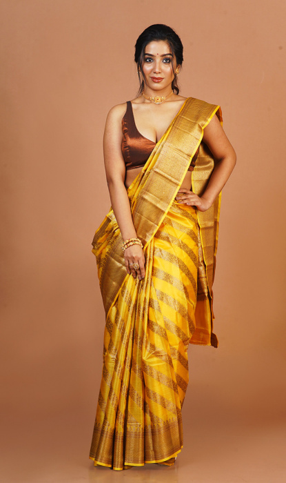 TUSSAR SAREE