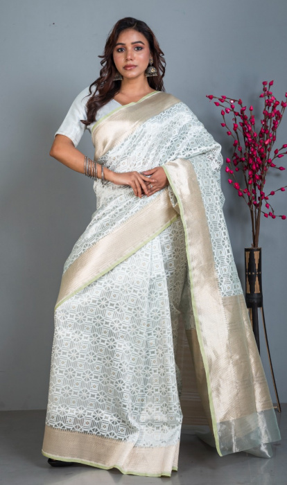 DESIGNER TISSUE SAREE